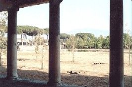Gymnasium (Left)